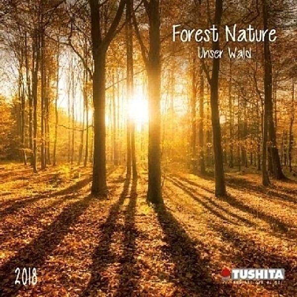 Forest Nature 2018