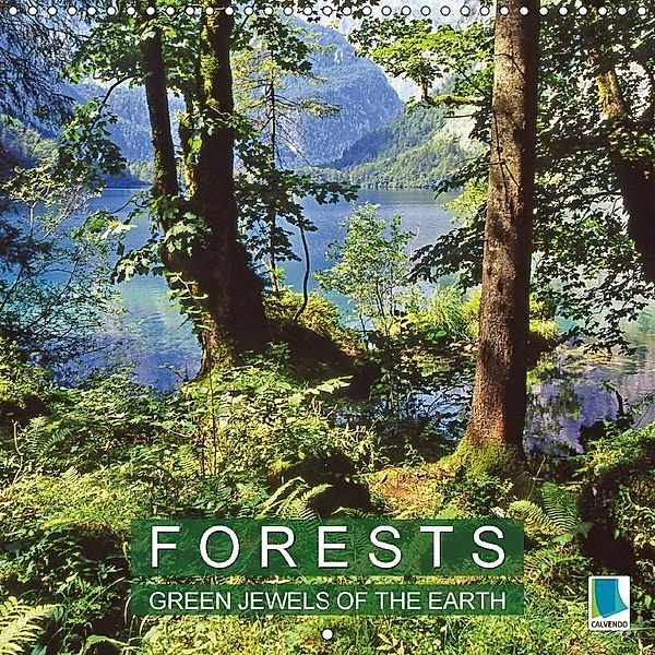 Forests - Green jewels of the earth (Wall Calendar 2018 300 × 300 mm Square), CALVENDO