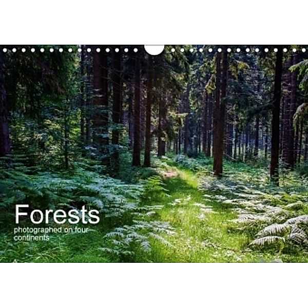 Forests photographed on four continents (Wall Calendar 2017 DIN A4 Landscape), Richard Walliser