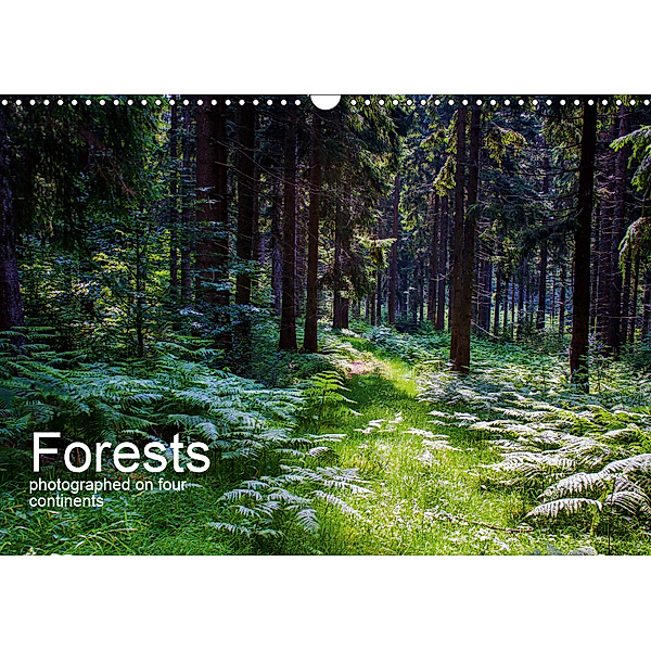 Forests photographed on four continents (Wall Calendar 2019 DIN A3 Landscape), Richard Walliser