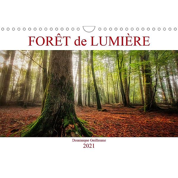 Forêt de lumière (Calendrier mural 2021 DIN A4 horizontal), Dominique GUILLAUME