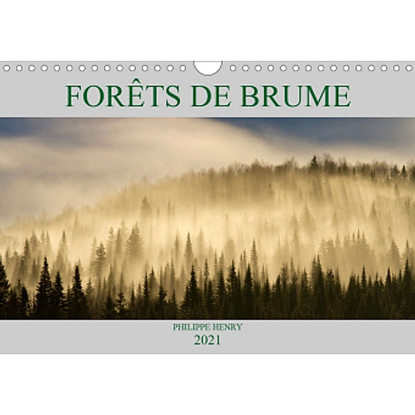 FORÊTS DE BRUME (Calendrier mural 2021 DIN A4 horizontal), Philippe Henry