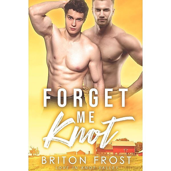 Forget Me Knot: An Mpreg Romance (Love in Knot Valley, #1) / Love in Knot Valley, Briton Frost