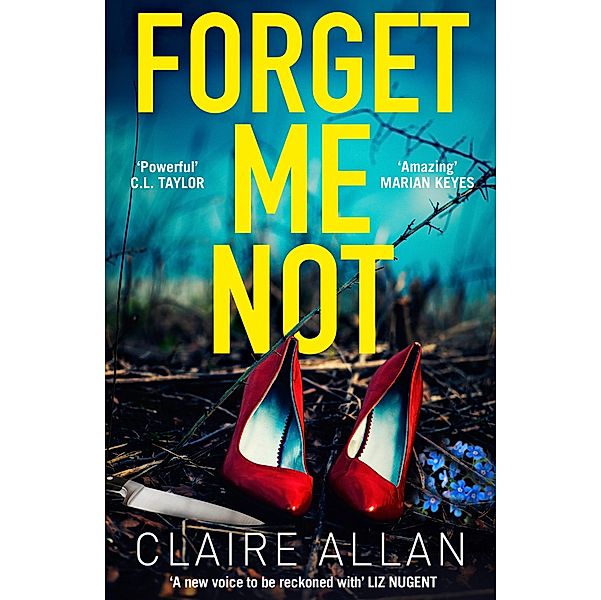 Forget Me Not, Claire Allan