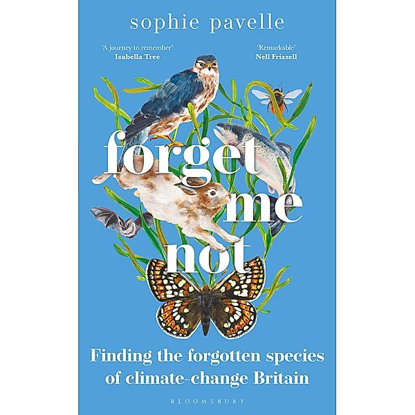 Forget Me Not, Sophie Pavelle