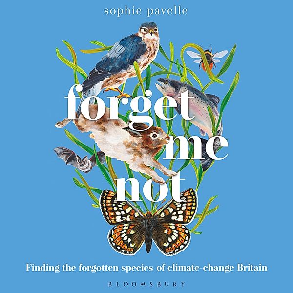 Forget Me Not, Sophie Pavelle