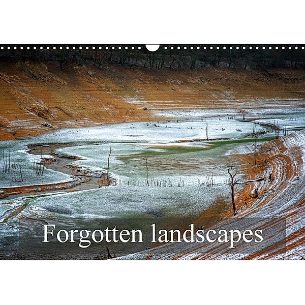 Forgotten landscapes (Wall Calendar 2017 DIN A3 Landscape), Alain Gaymard