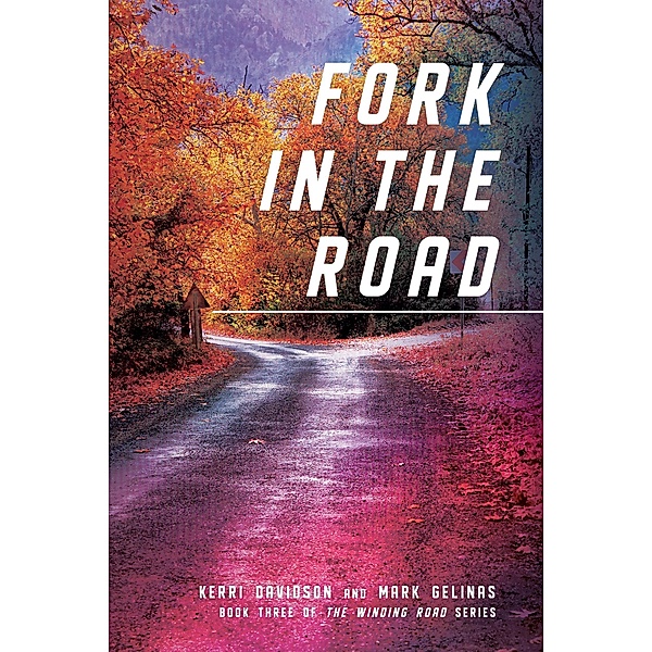 Fork in the Road (The Winding Road Series, #3) / The Winding Road Series, Kerri Davidson, Mark Gelinas