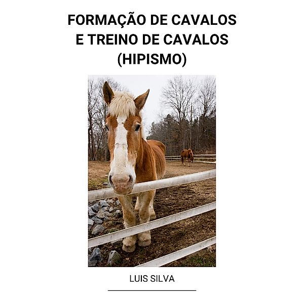 Formação de Cavalos e Treino de Cavalos (Hipismo), Luis Silva