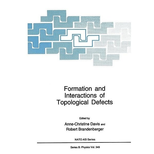 Formation and Interactions of Topological Defects / NATO Science Series B: Bd.349