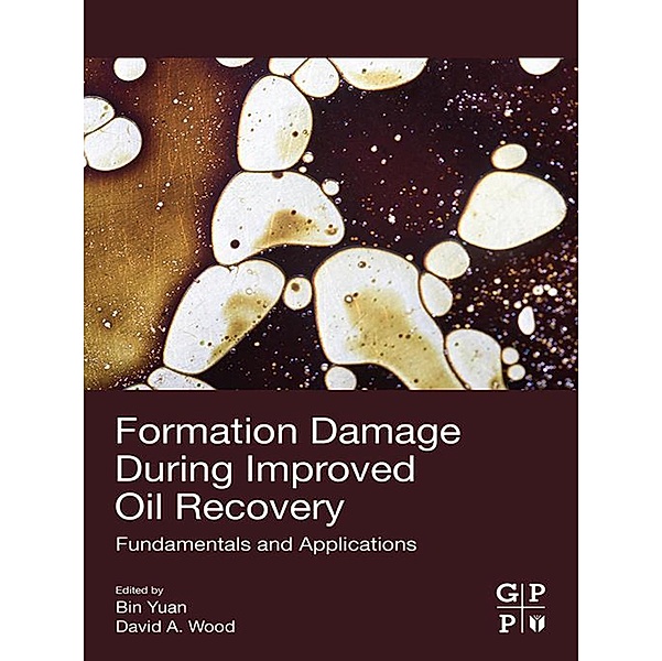 Formation Damage during Improved Oil Recovery
