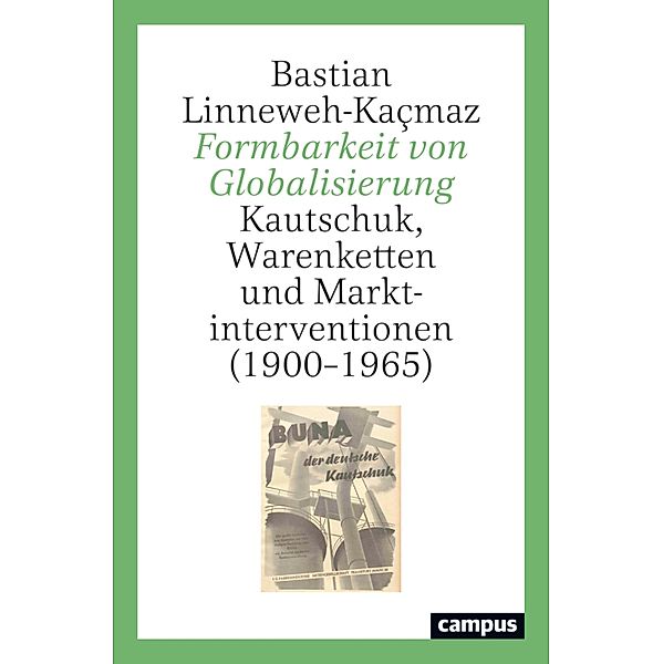 Formbarkeit von Globalisierung, Bastian Linneweh-Kaçmaz