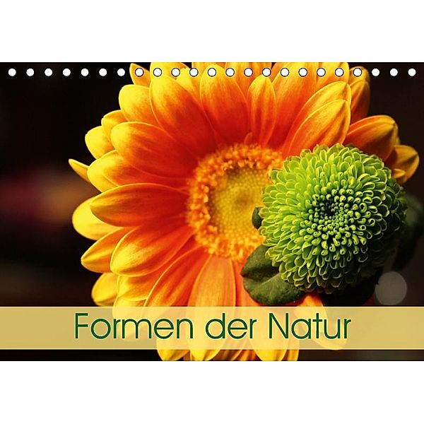 Formen der Natur (Tischkalender 2019 DIN A5 quer), Horst Eisele
