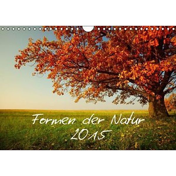Formen der Natur (Wandkalender 2015 DIN A4 quer), Horst Eisele