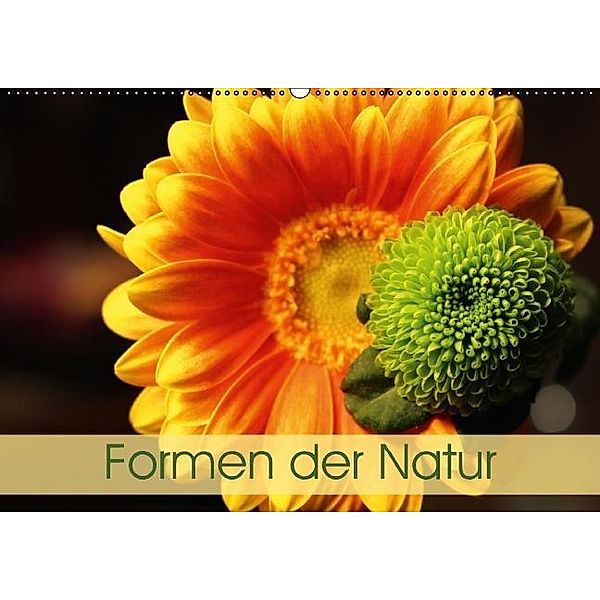 Formen der Natur (Wandkalender 2017 DIN A2 quer), Horst Eisele