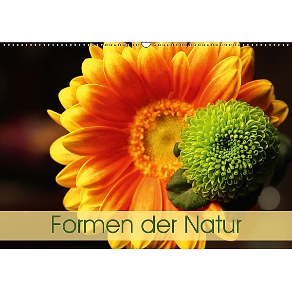 Formen der Natur (Wandkalender 2018 DIN A2 quer), Horst Eisele