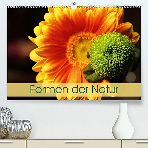 Formen der Natur(Premium, hochwertiger DIN A2 Wandkalender 2020, Kunstdruck in Hochglanz), Horst Eisele