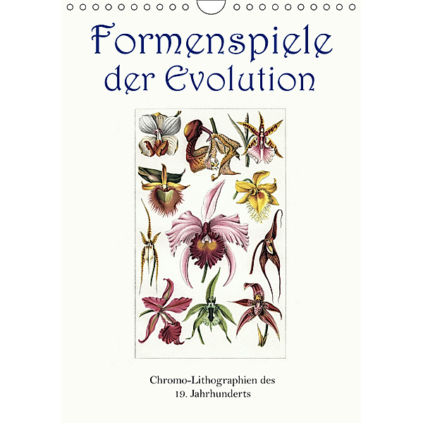 Formenspiele der Evolution. Chromolithographien des 19. Jahrhunderts (Wandkalender 2019 DIN A4 hoch), Jost Galle