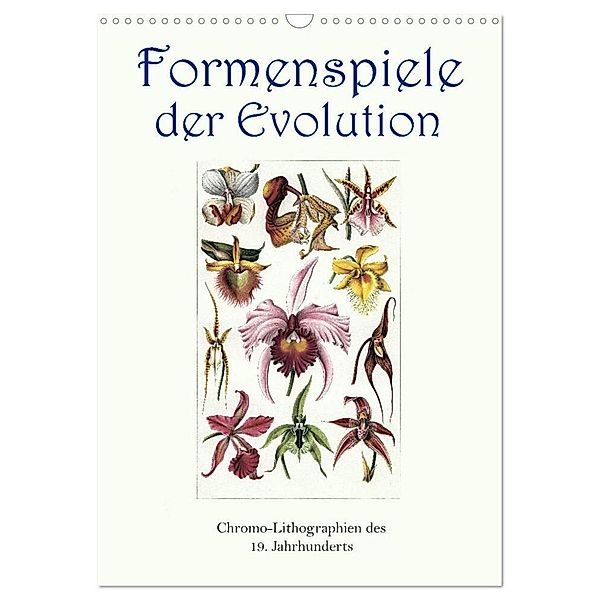 Formenspiele der Evolution. Chromolithographien des 19. Jahrhunderts (Wandkalender 2024 DIN A3 hoch), CALVENDO Monatskalender, Jost Galle