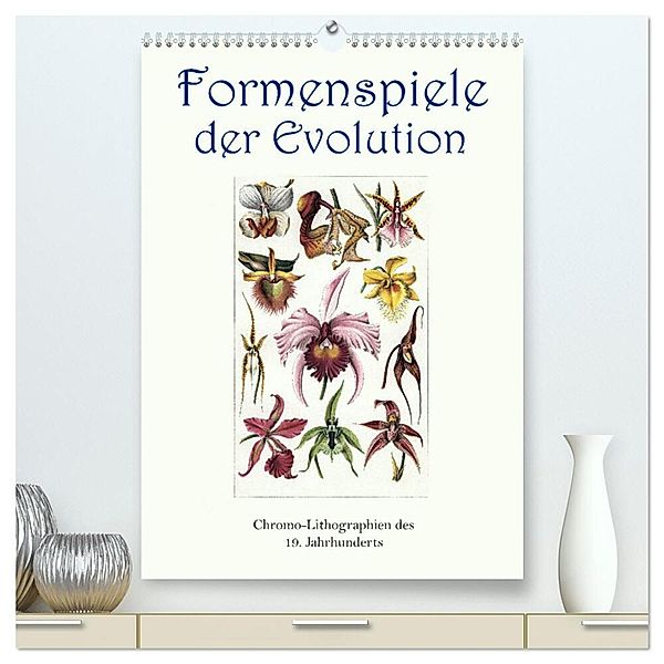 Formenspiele der Evolution. Chromolithographien des 19. Jahrhunderts (hochwertiger Premium Wandkalender 2024 DIN A2 hoch), Kunstdruck in Hochglanz, Jost Galle