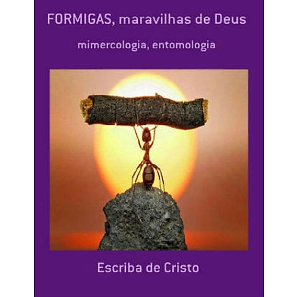 FORMIGAS, MARAVILHAS DE DEUS, Escriba de Cristo
