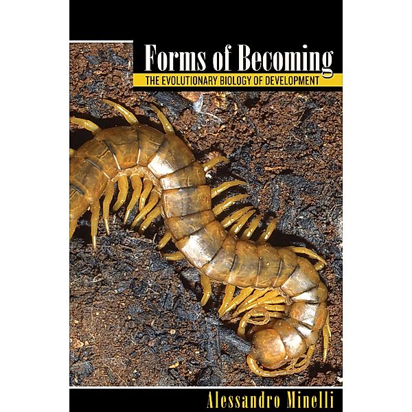 Forms of Becoming, Alessandro Minelli