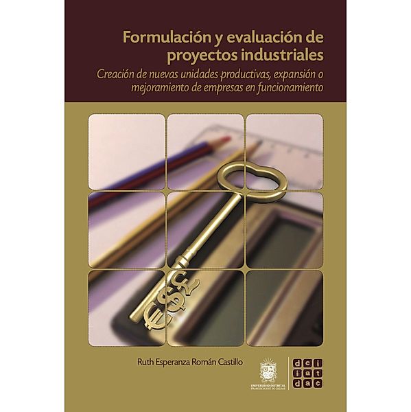 Formulación y evaluación de proyectos industriales / Didácticas, Ruth Esperanza Román Castillo