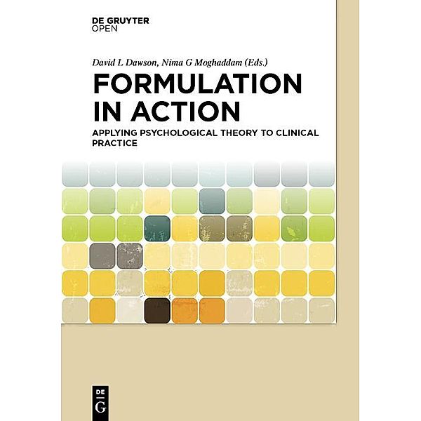 Formulation in Action, David Dawson, Nima Moghaddam