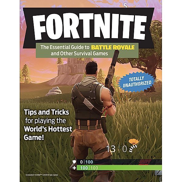 Fortnite, Triumph Books