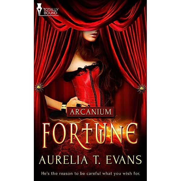 Fortune / Arcanium Bd.1, Aurelia T. Evans