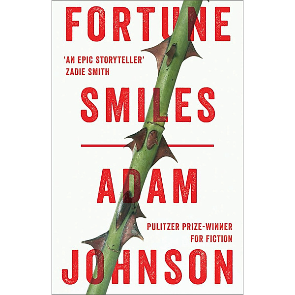 Fortune Smiles, Adam Johnson