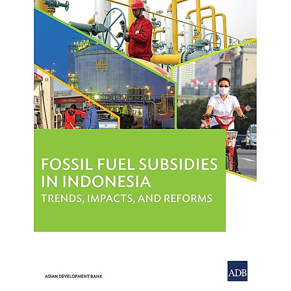 Fossil Fuel Subsidies in Indonesia