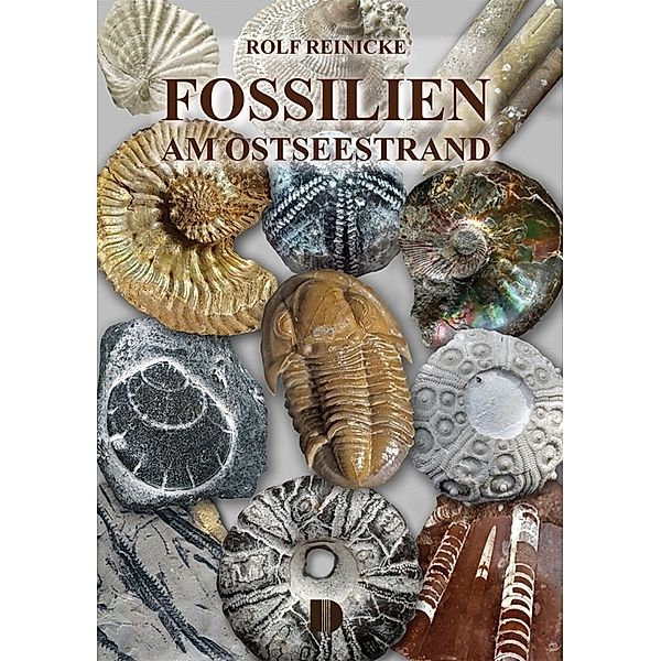 Fossilien am Ostseestrand, Rolf Reinicke