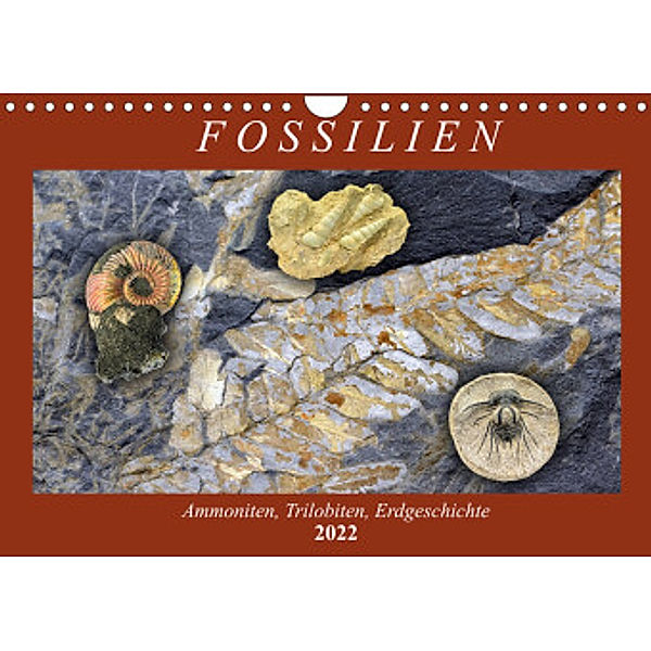 Fossilien - Ammoniten, Trilobiten, Erdgeschichte (Wandkalender 2022 DIN A4 quer), Anja Frost