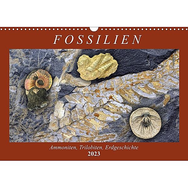 Fossilien - Ammoniten, Trilobiten, Erdgeschichte (Wandkalender 2023 DIN A3 quer), Anja Frost