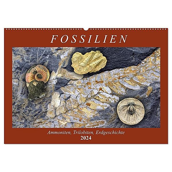 Fossilien - Ammoniten, Trilobiten, Erdgeschichte (Wandkalender 2024 DIN A2 quer), CALVENDO Monatskalender, Anja Frost