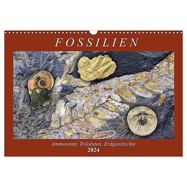 Fossilien - Ammoniten, Trilobiten, Erdgeschichte (Wandkalender 2024 DIN A3 quer), CALVENDO Monatskalender, Anja Frost