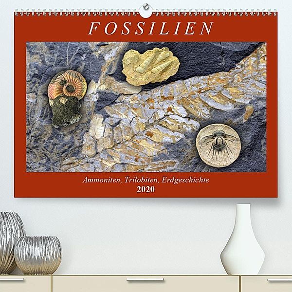 Fossilien - Ammoniten, Trilobiten, Erdgeschichte (Premium-Kalender 2020 DIN A2 quer), Anja Frost