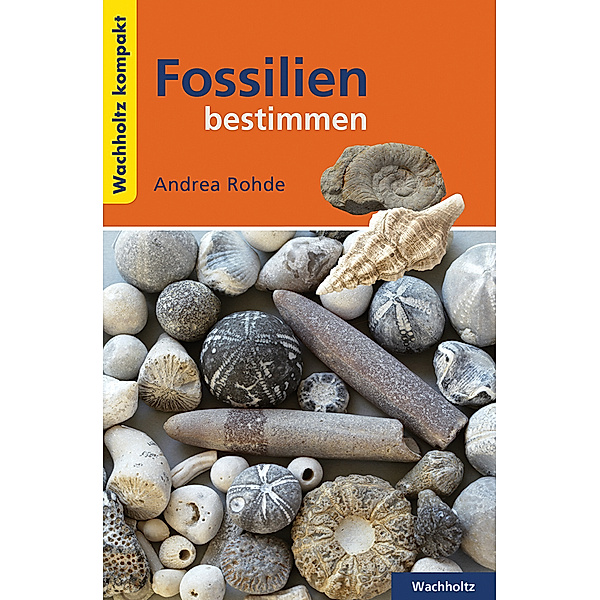 Fossilien bestimmen KOMPAKT, Andrea Rohde
