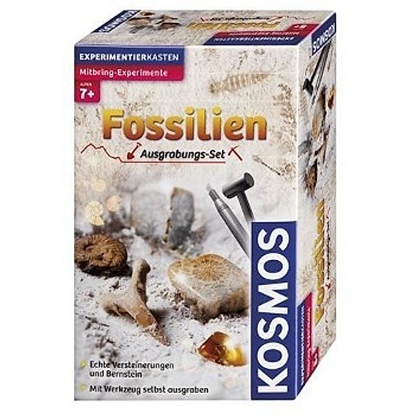 Fossilien (Experimentierkasten)