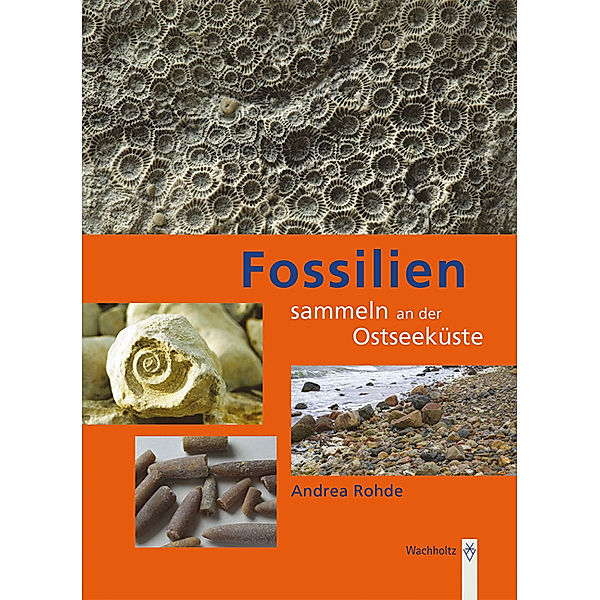 Fossilien sammeln an der Ostseeküste, Andrea Rohde