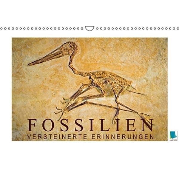 Fossilien Versteinerte Erinnerungen (Wandkalender 2015 DIN A3 quer), CALVENDO