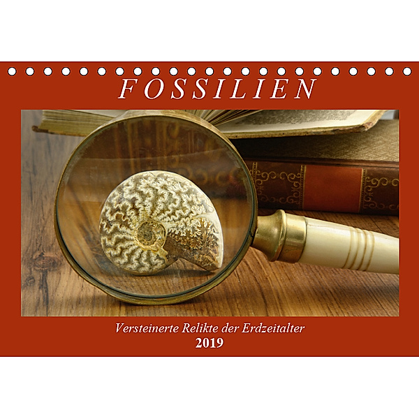 Fossilien - Versteinerte Relikte der Erdzeitalter (Tischkalender 2019 DIN A5 quer), Anja Frost