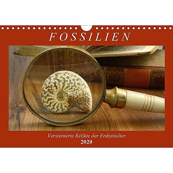 Fossilien - Versteinerte Relikte der Erdzeitalter (Wandkalender 2020 DIN A4 quer), Anja Frost