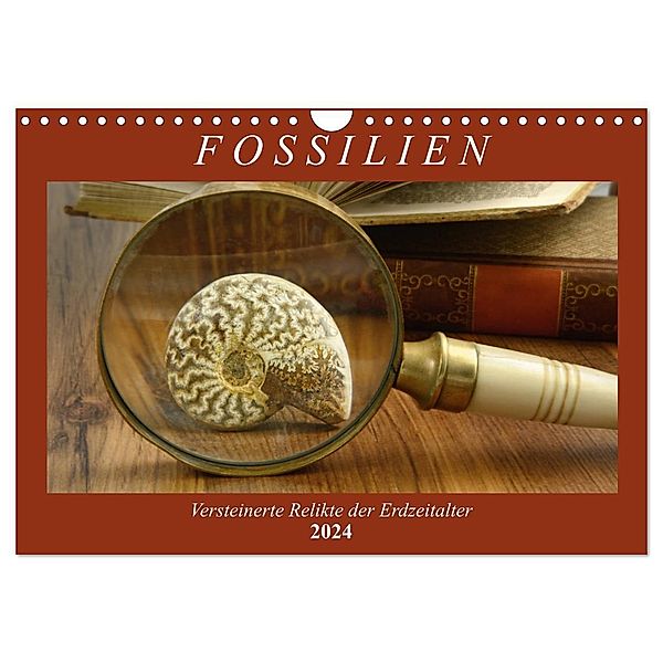 Fossilien - Versteinerte Relikte der Erdzeitalter (Wandkalender 2024 DIN A4 quer), CALVENDO Monatskalender, Anja Frost