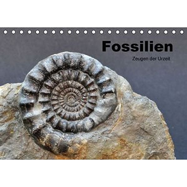 Fossilien - Zeugen der Urzeit (Tischkalender 2016 DIN A5 quer), Renate Wagner