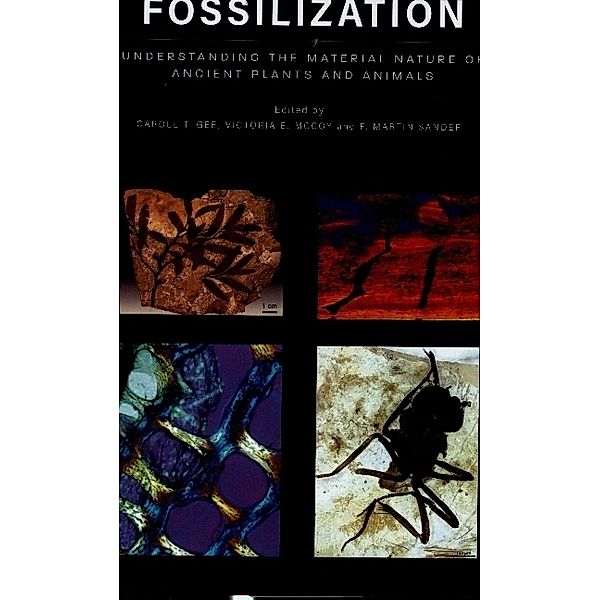 Fossilization - Understanding the Material Nature of Ancient Plants and Animals, Carole T. Gee, Victoria E. Mccoy, P. Martin Sander