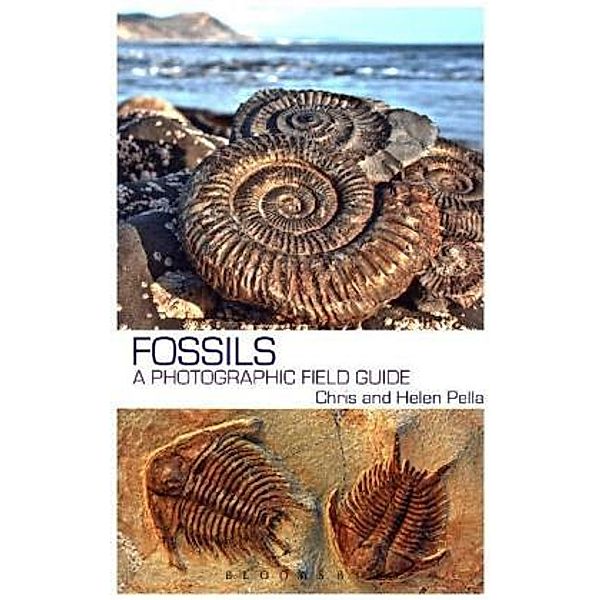 Fossils, Chris Pellant, Helen Pellant