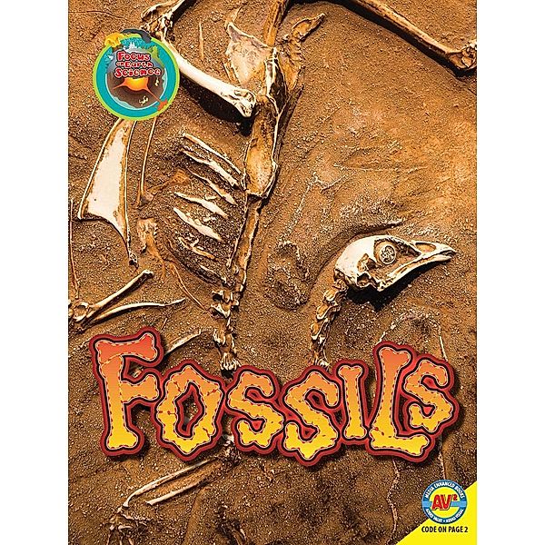 Fossils, Megan Lappi