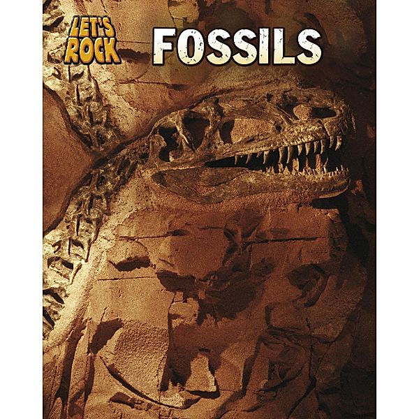 Fossils, Richard Spilsbury